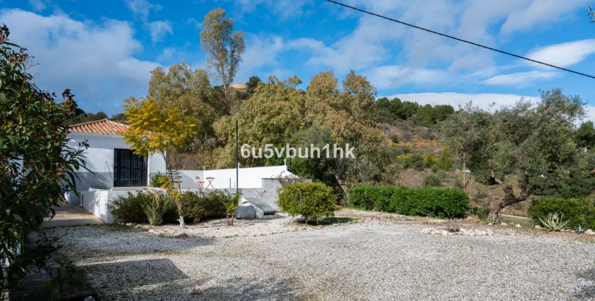 Sale of finca - cortijo in Alhaurín el Grande 15