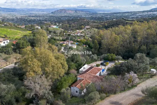 Image 6 thumb