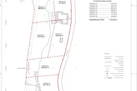 Image 4 thumb