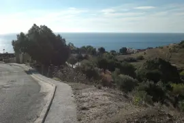 Image 6 thumb