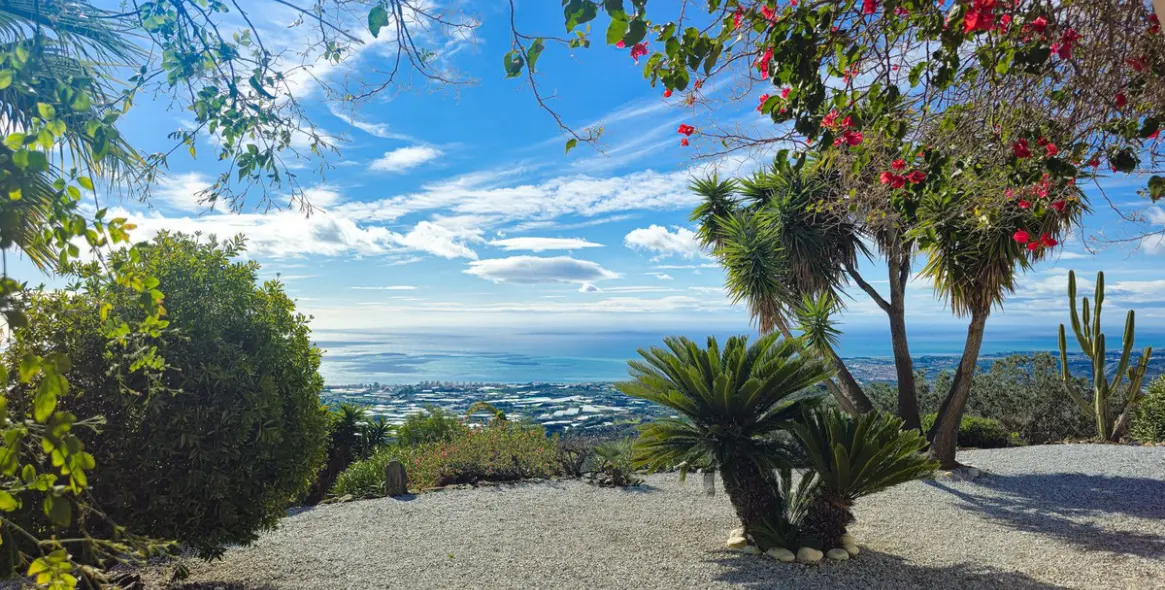 Sale of detached villa in Arenas 40