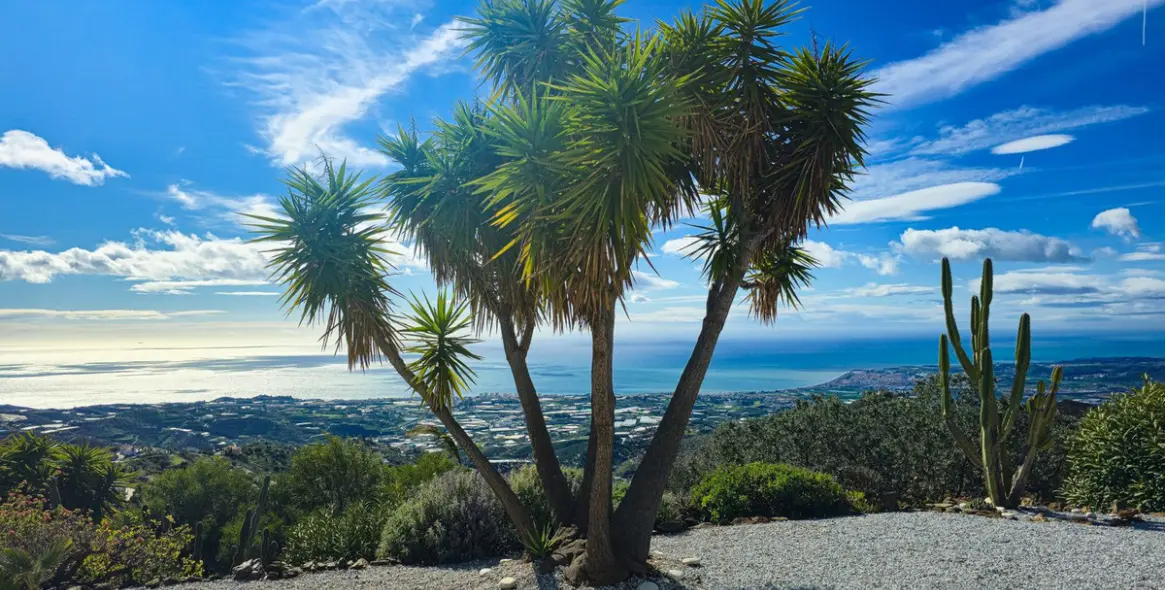 Sale of detached villa in Arenas 41