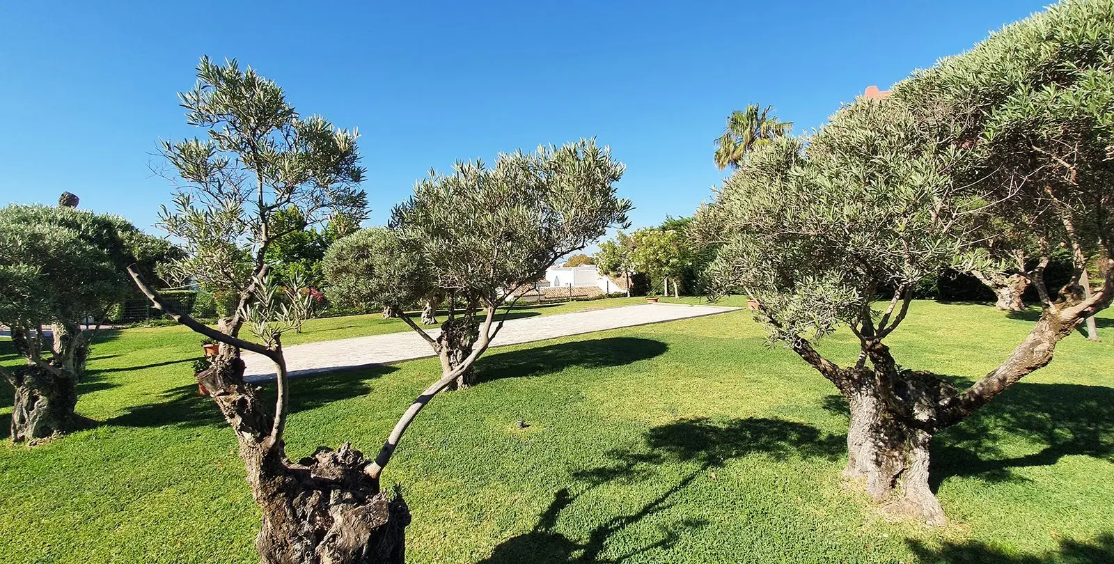 Продажа апартаментов на среднем этаже в Benalmadena Costa 21