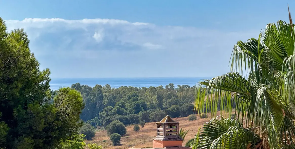 Краткосрочная аренда пентхауса в El Paraiso 8