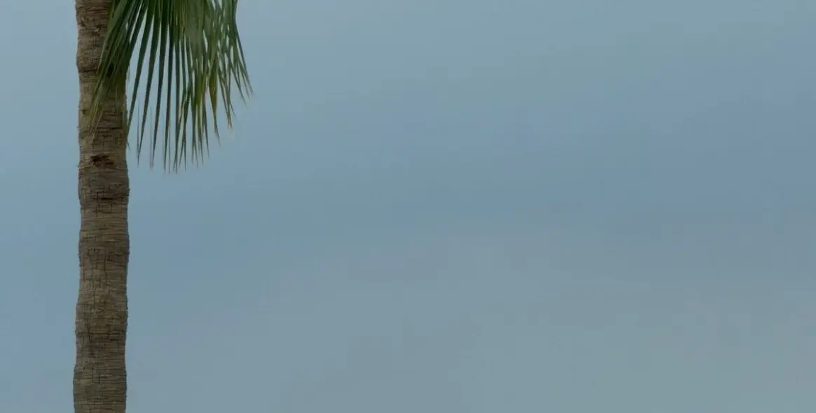 Продажа пентхауса в La Quinta 20