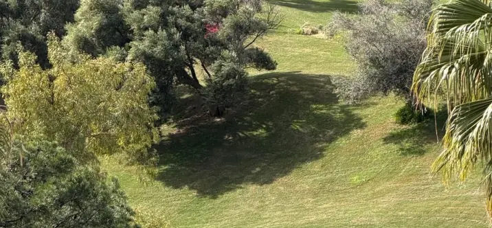 Sale of penthouse in La Quinta 1