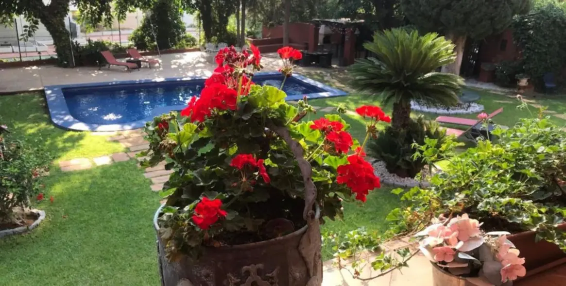 Продажа мини-отелz в Torremolinos 15