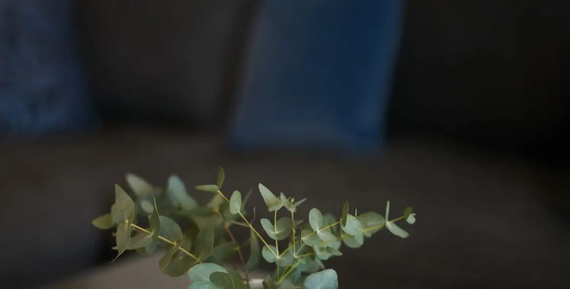 Alquiler a largo plazo de adosado en Sierra Blanca 55