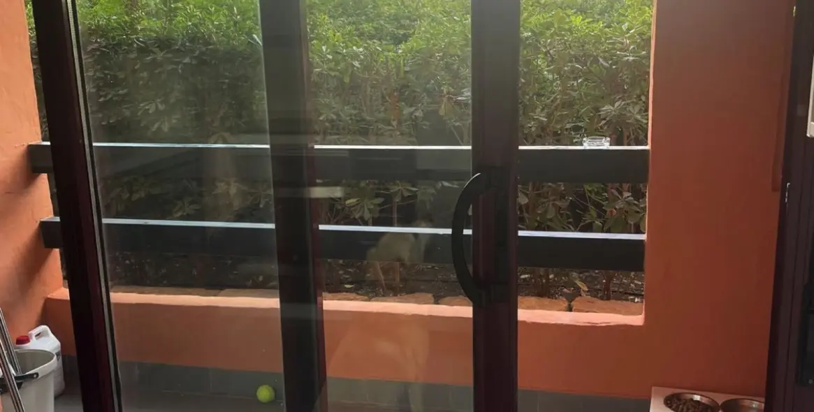 Sale of ground floor apartment in Casares Playa 11