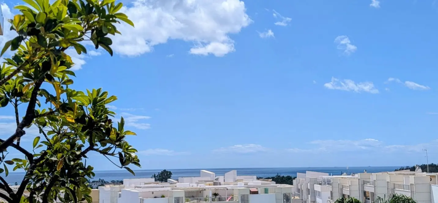Venta de ático dúplex en San Pedro de Alcántara 0