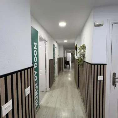 Долгосрочная аренда коммерческого помещения в San Pedro de Alcántara