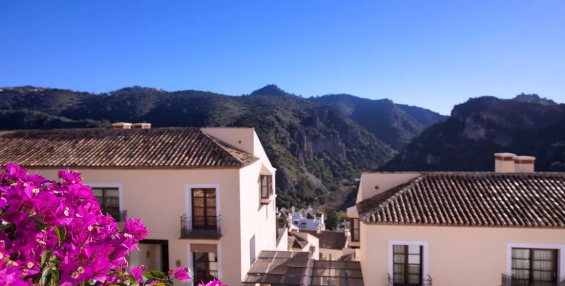 Продажа таунхауса в Benahavís 1