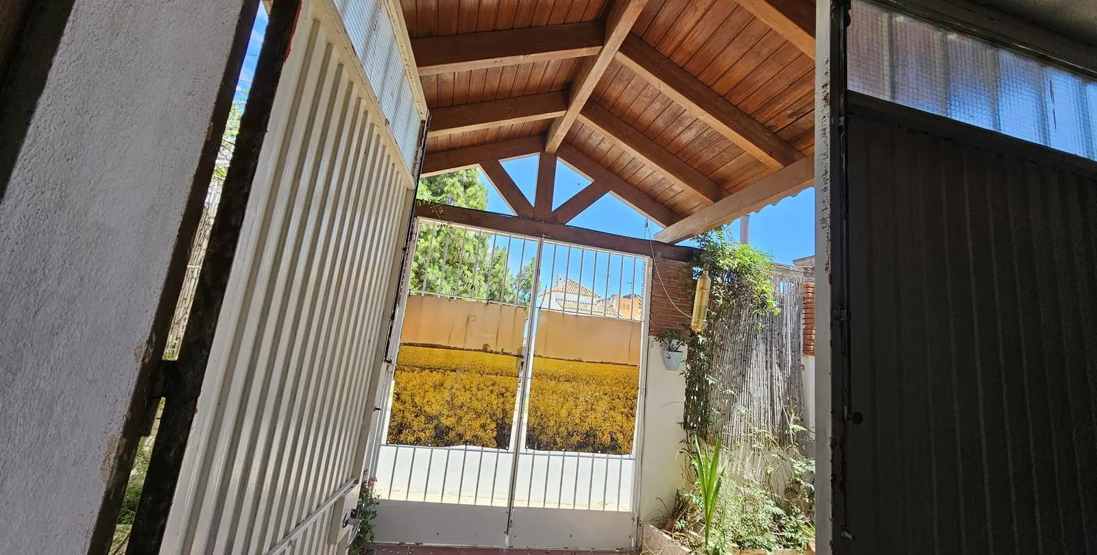 Продажа бизнеса в Estepona 3