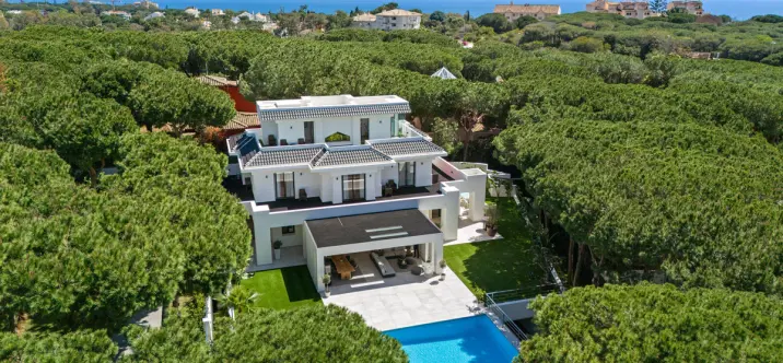 Продажа  отдельно стоящей виллы в Las Chapas 0