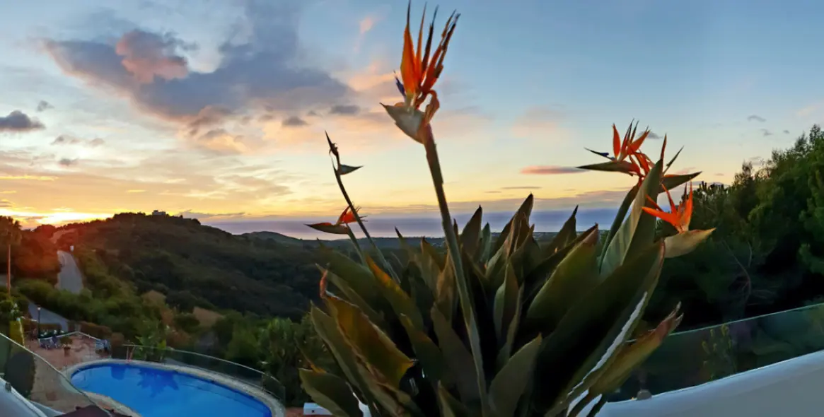 Sale of middle floor apartment in La Mairena 24