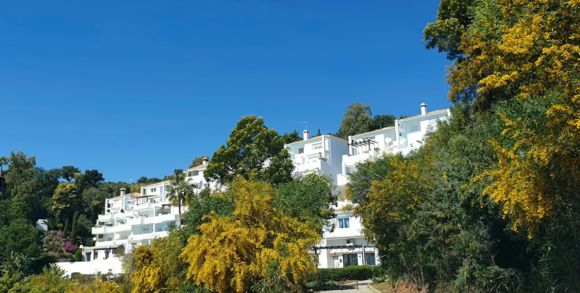 Sale of middle floor apartment in La Mairena 26