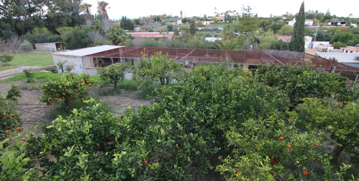 Sale of detached villa in Alhaurín el Grande 34