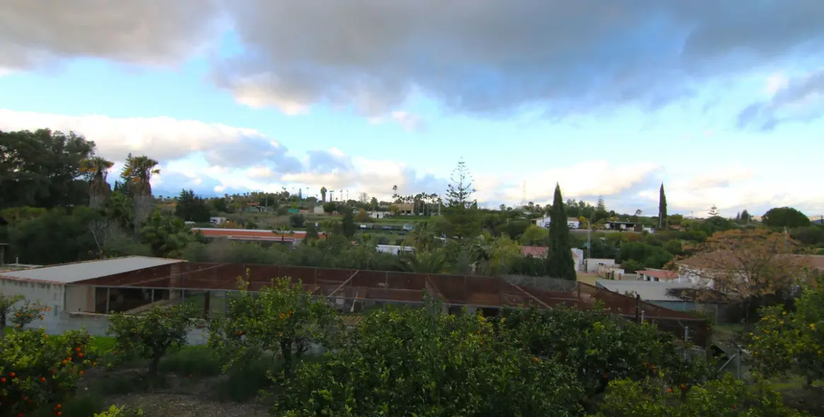 Sale of detached villa in Alhaurín el Grande 35