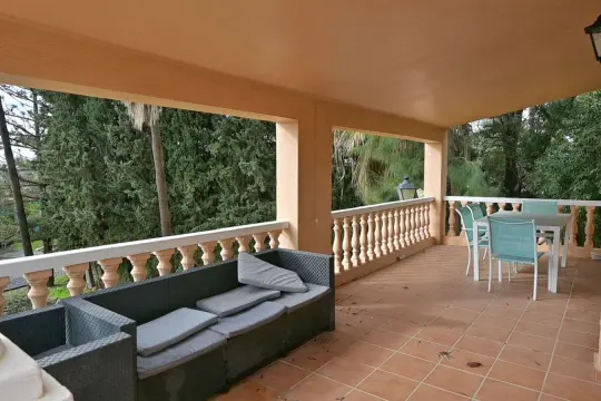 Image 4 thumb