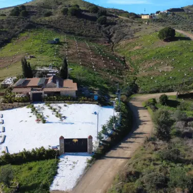 Sale of finca - cortijo in Mijas