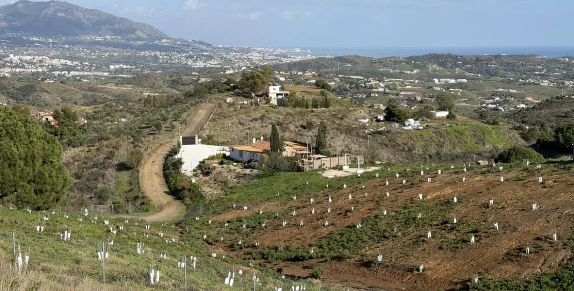 Продажа финки в Mijas 22