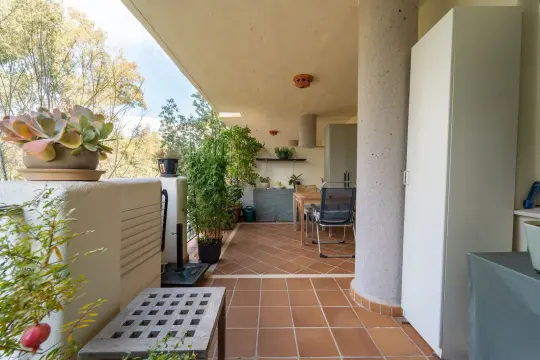 Image 8 thumb
