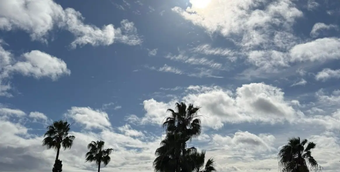 Venta de adosado en La Quinta 14