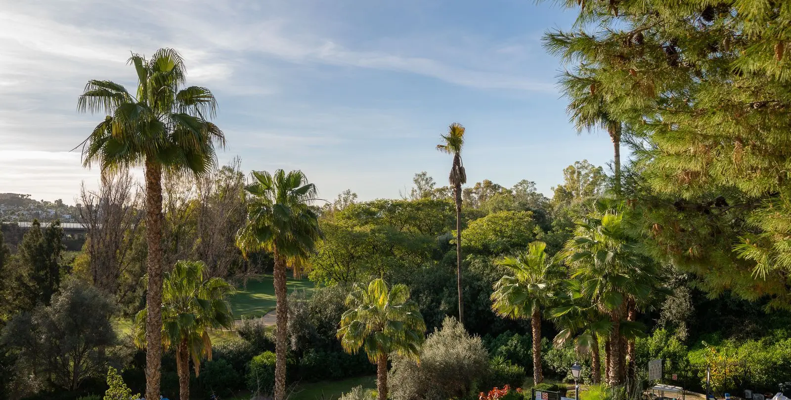 Sale of middle floor apartment in Benahavís 14