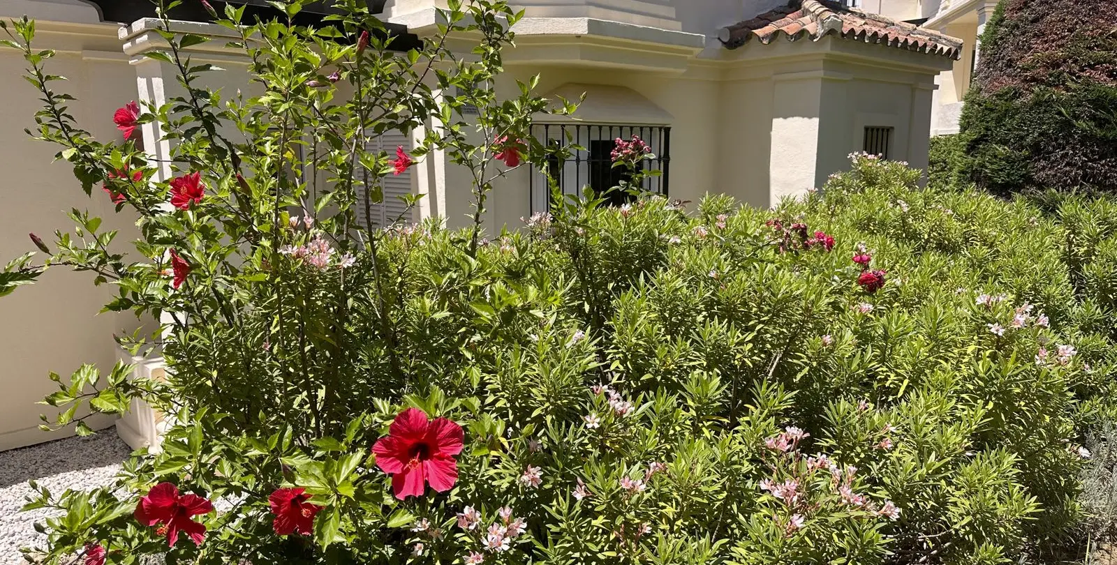 Venta de apartamento en planta media en Casares 18