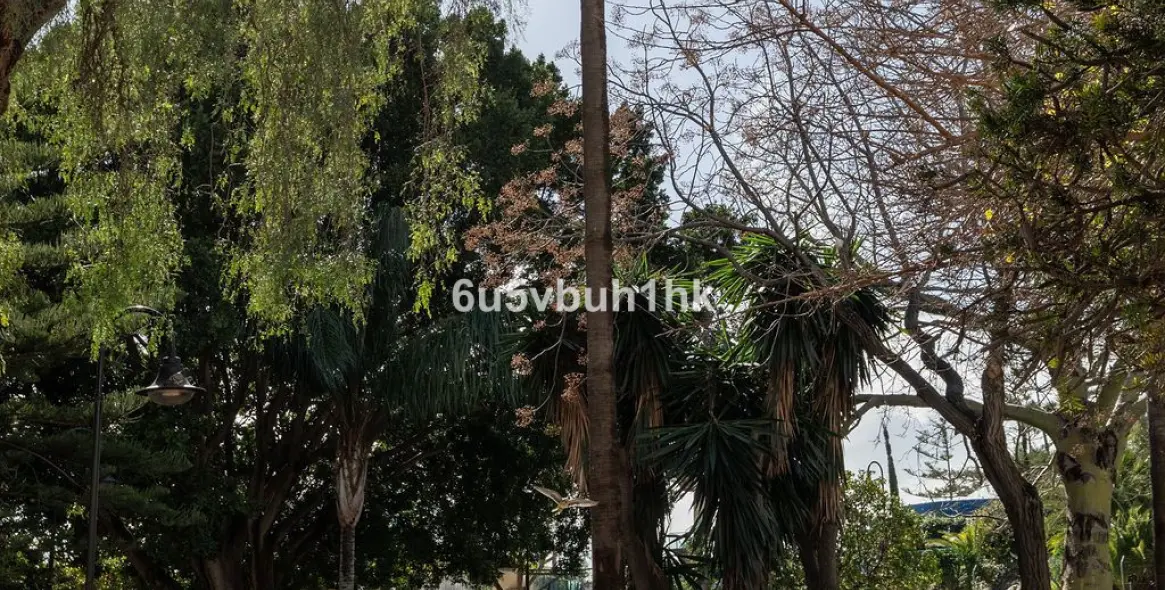 Venta de apartamento en planta media en Fuengirola 20