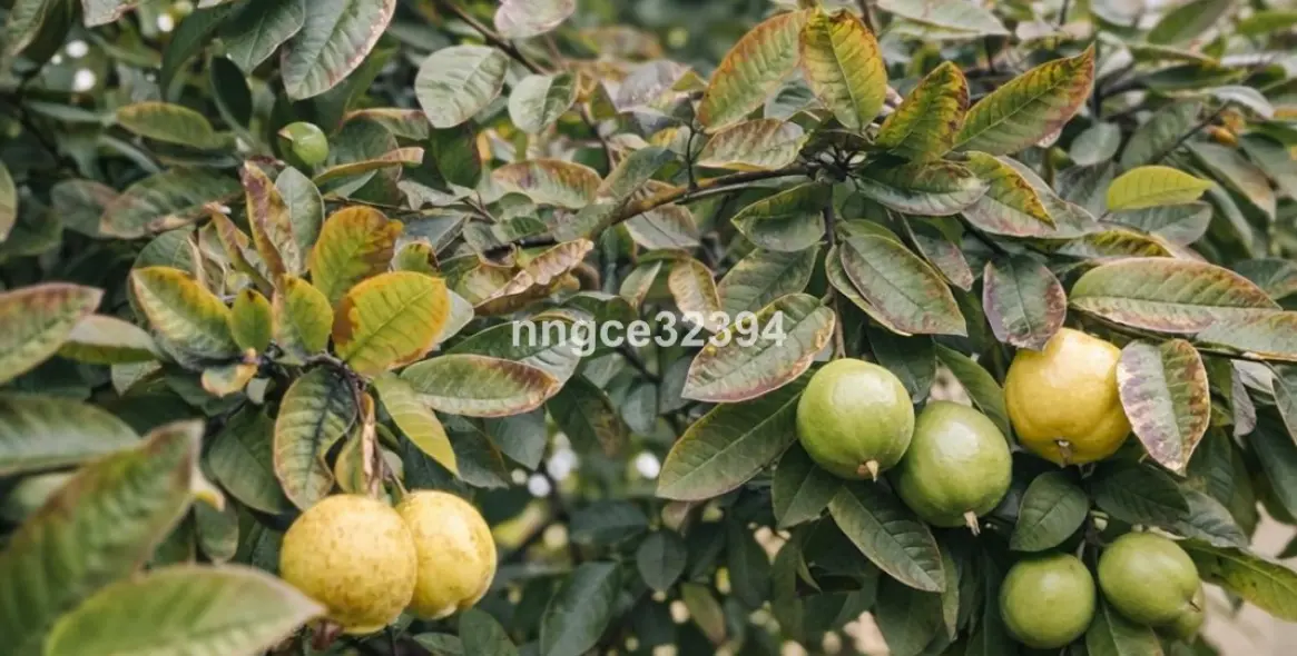 Продажа пентхауса в Puerto Banús 15