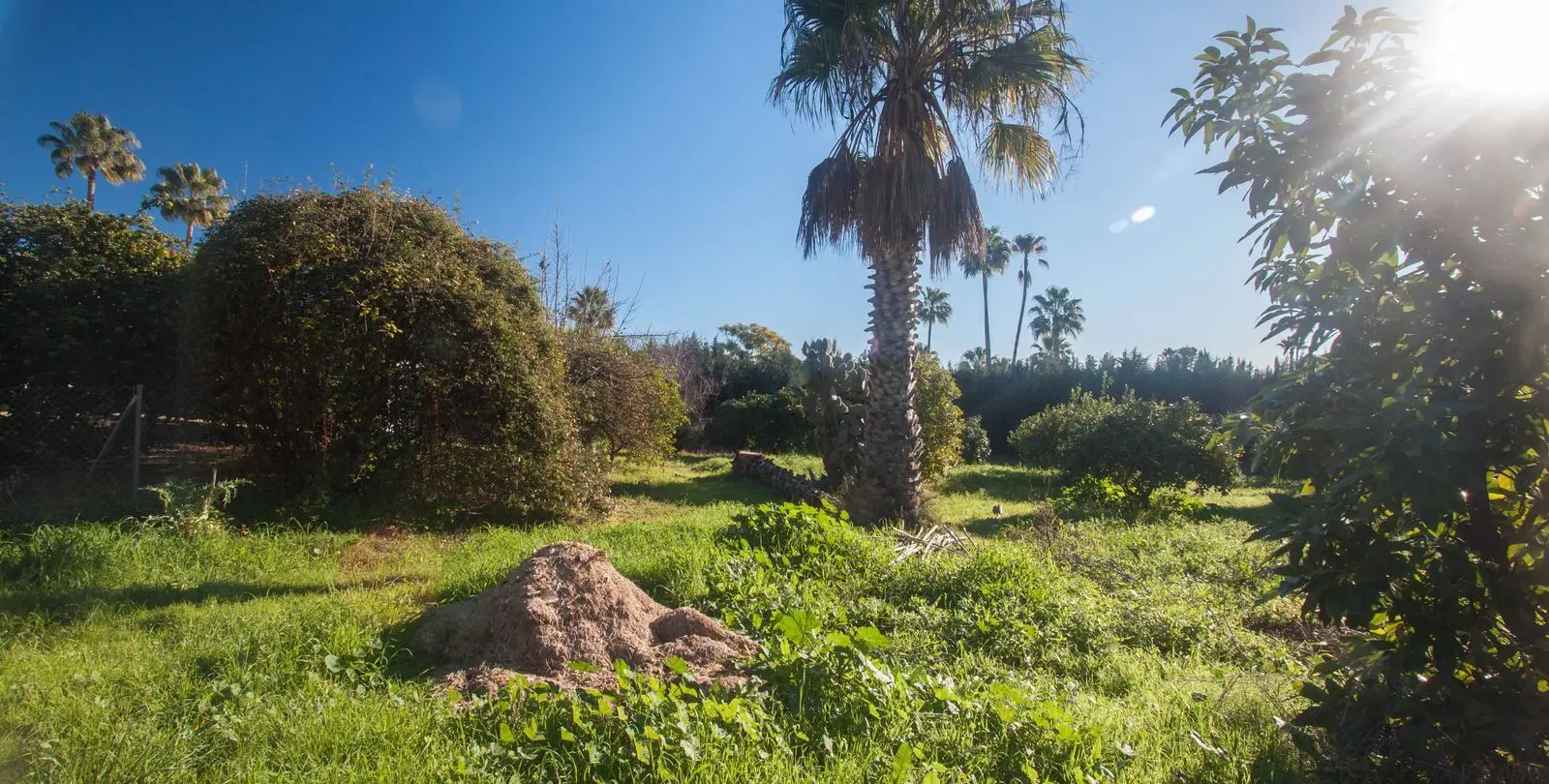 Sale of finca - cortijo in Estepona 42
