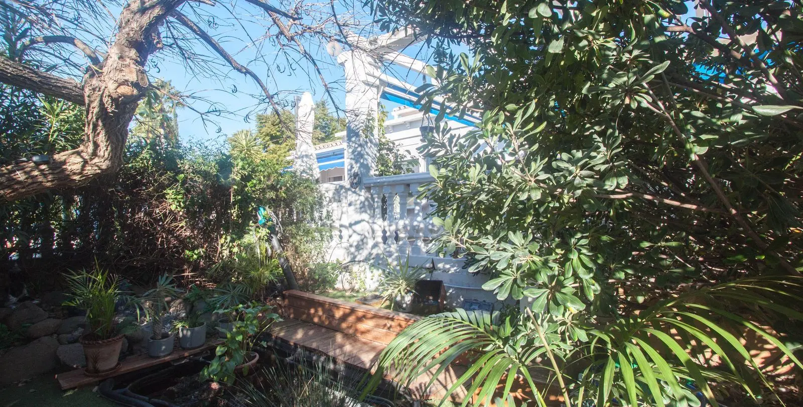 Sale of finca - cortijo in Estepona 46
