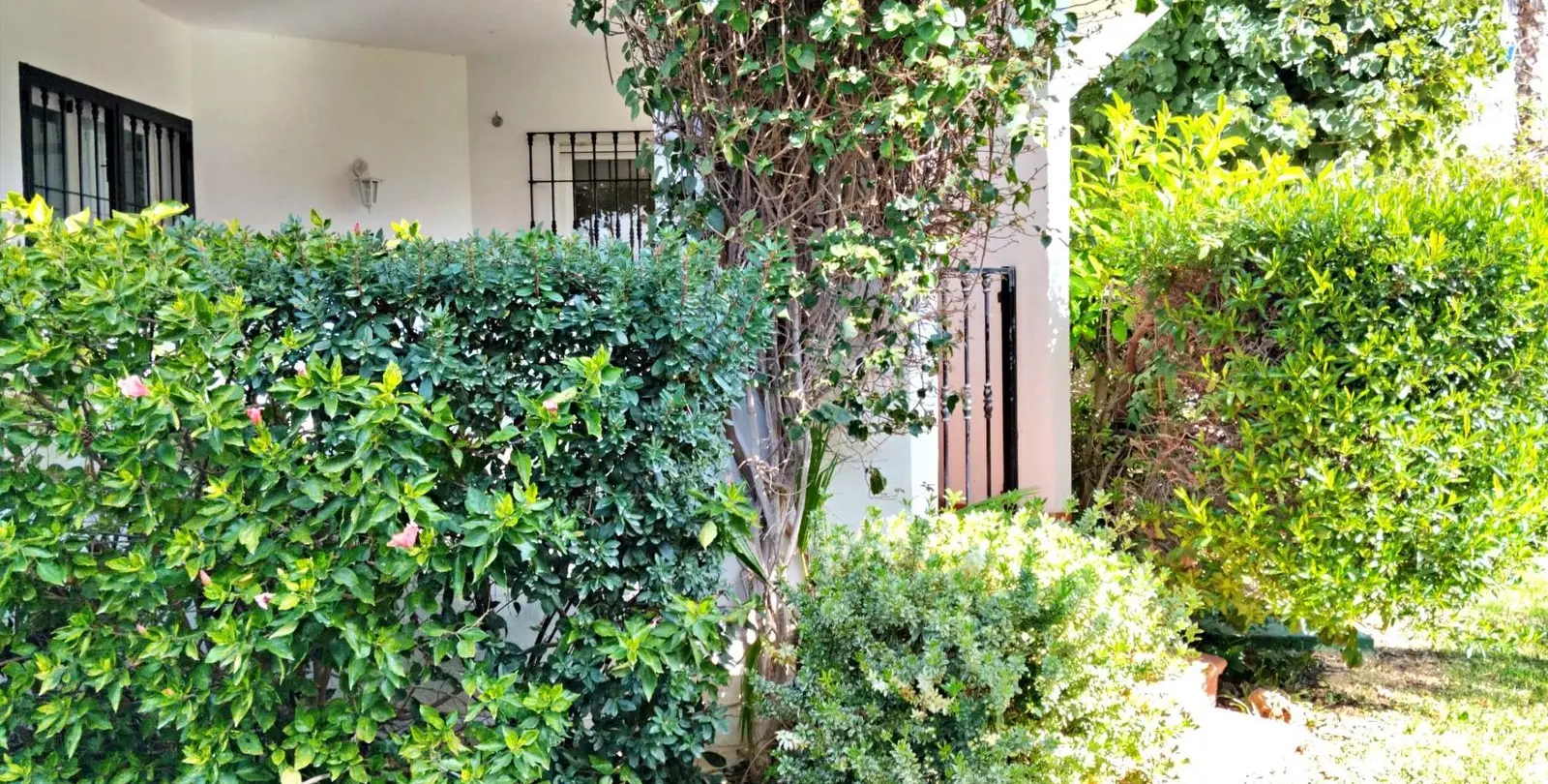 Sale of ground floor apartment in Nueva Andalucía 17