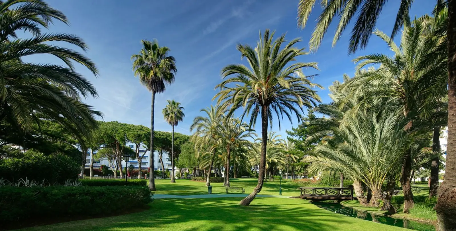 Sale of middle floor apartment in Puerto Banús 19