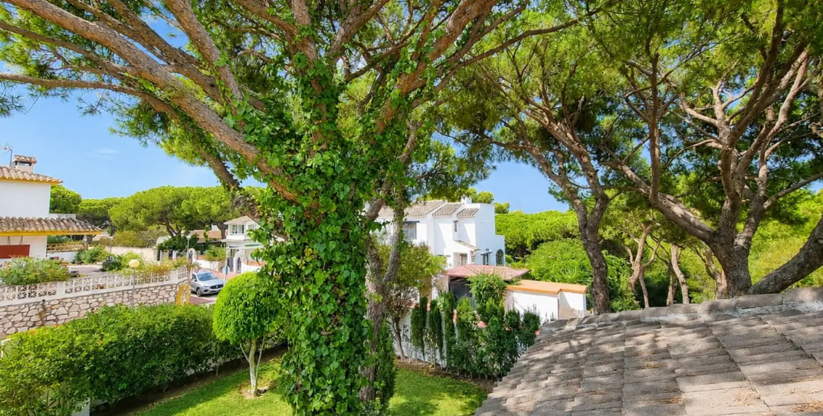 Sale of detached villa in Calahonda 18