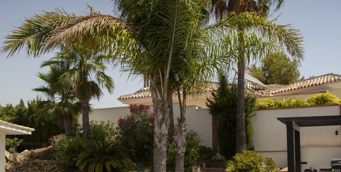 Sale of detached villa in Sierrezuela 37