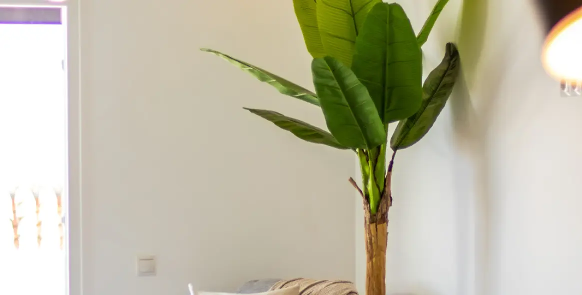 Short-term rent of ground floor apartment in Calahonda 47