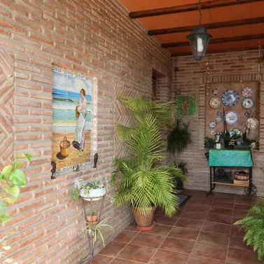 Sale of ground floor apartment in Campo Mijas