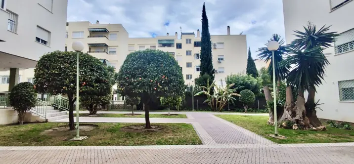 Sale of middle floor apartment in Benalmadena 0