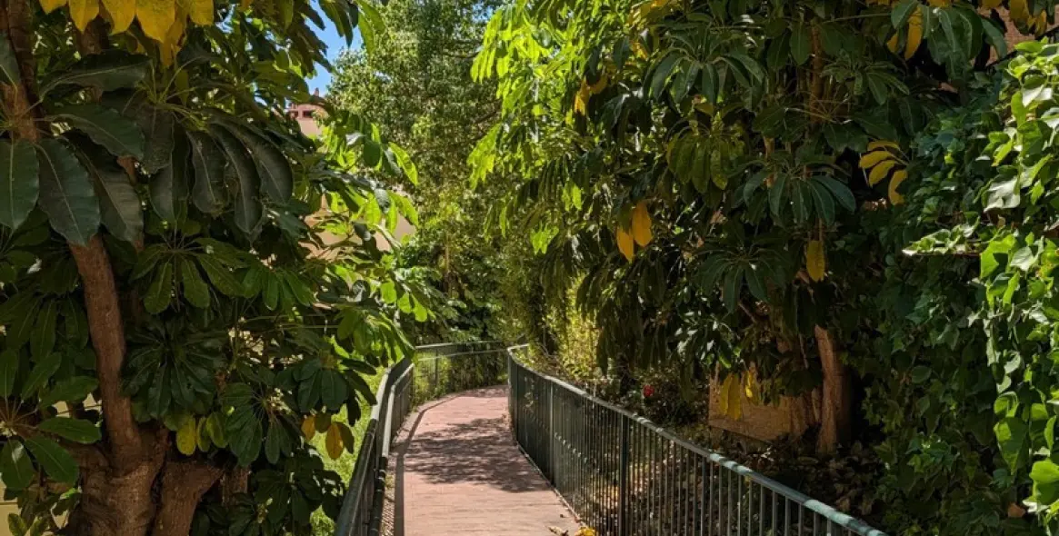 Продажа пентхауса в Riviera del Sol 9