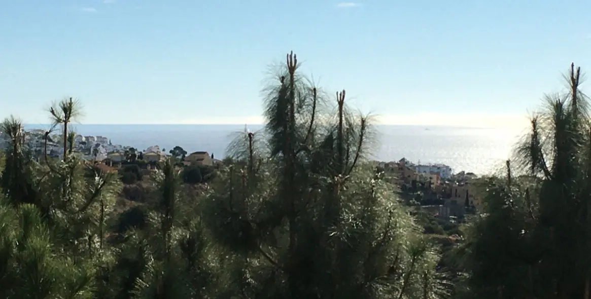 Долгосрочная аренда апартаментов на среднем этаже в Calahonda 2