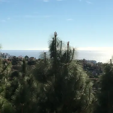 Долгосрочная аренда апартаментов на среднем этаже в Calahonda