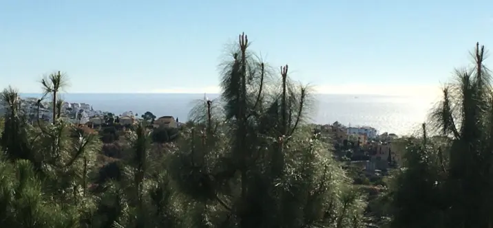 Долгосрочная аренда апартаментов на среднем этаже в Calahonda 1