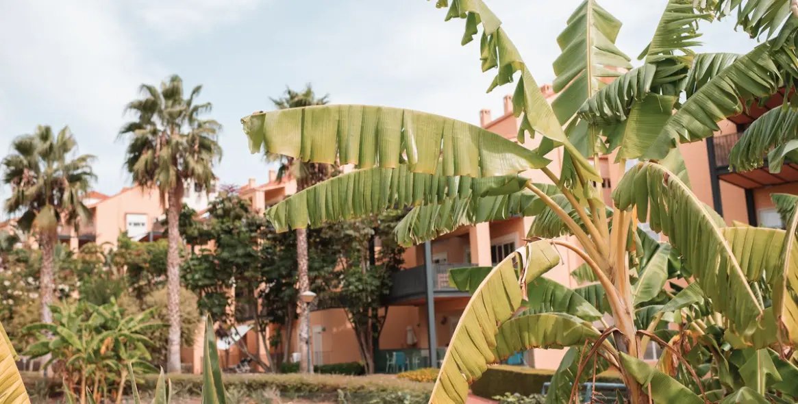 Продажа пентхауса в Alhaurín de la Torre 17