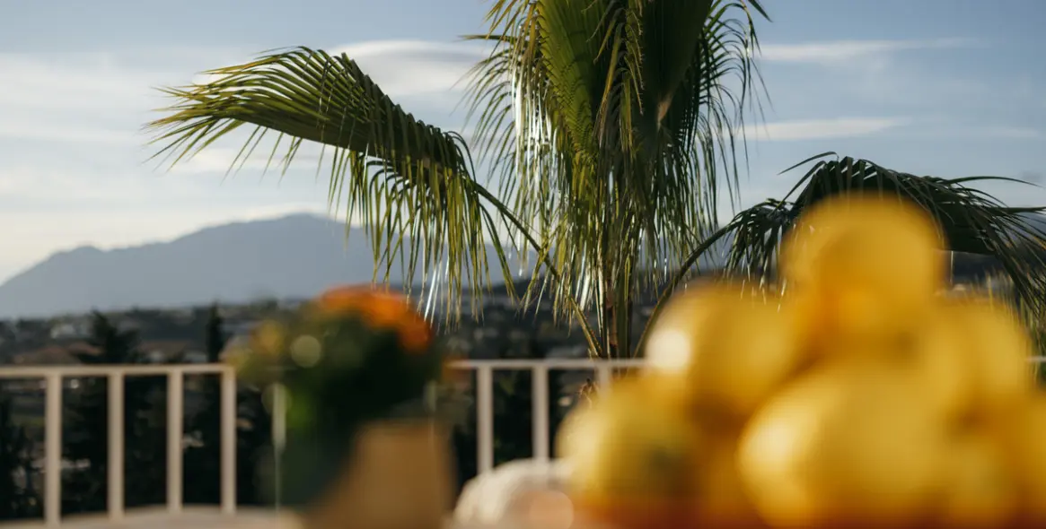 Sale of townhouse in Atalaya 7