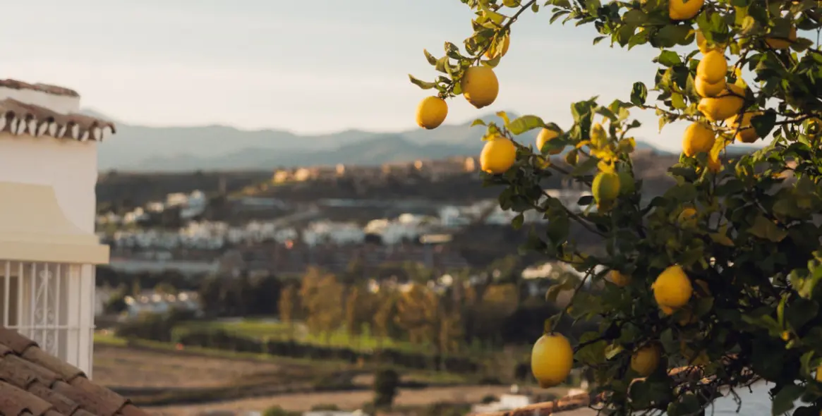 Sale of townhouse in Atalaya 28