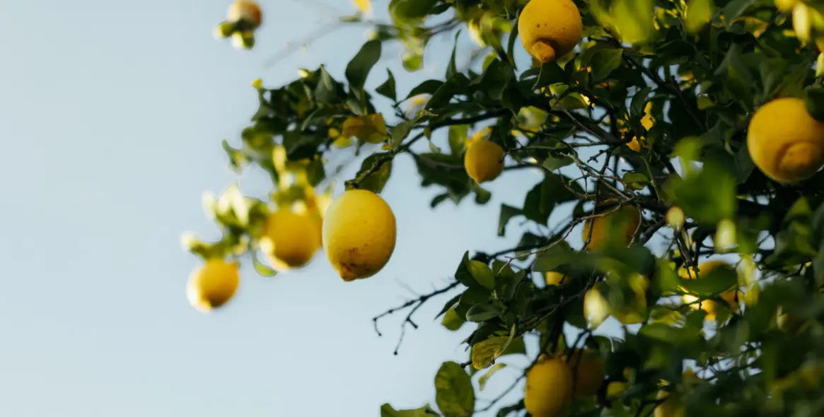 Sale of townhouse in Atalaya 32