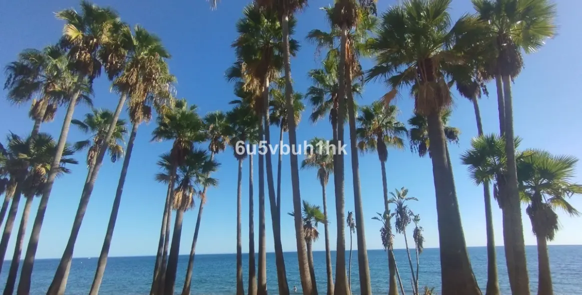 Продажа двухуровневого пентхауса в San Pedro de Alcántara 33