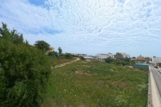 Image 4 thumb